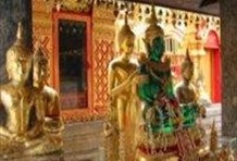 Doi Suthep & Elephant at Work - Private Tour